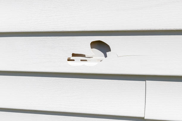 How To Choose The Right Materials for Your Siding Installation in 'New Carlisle, IN